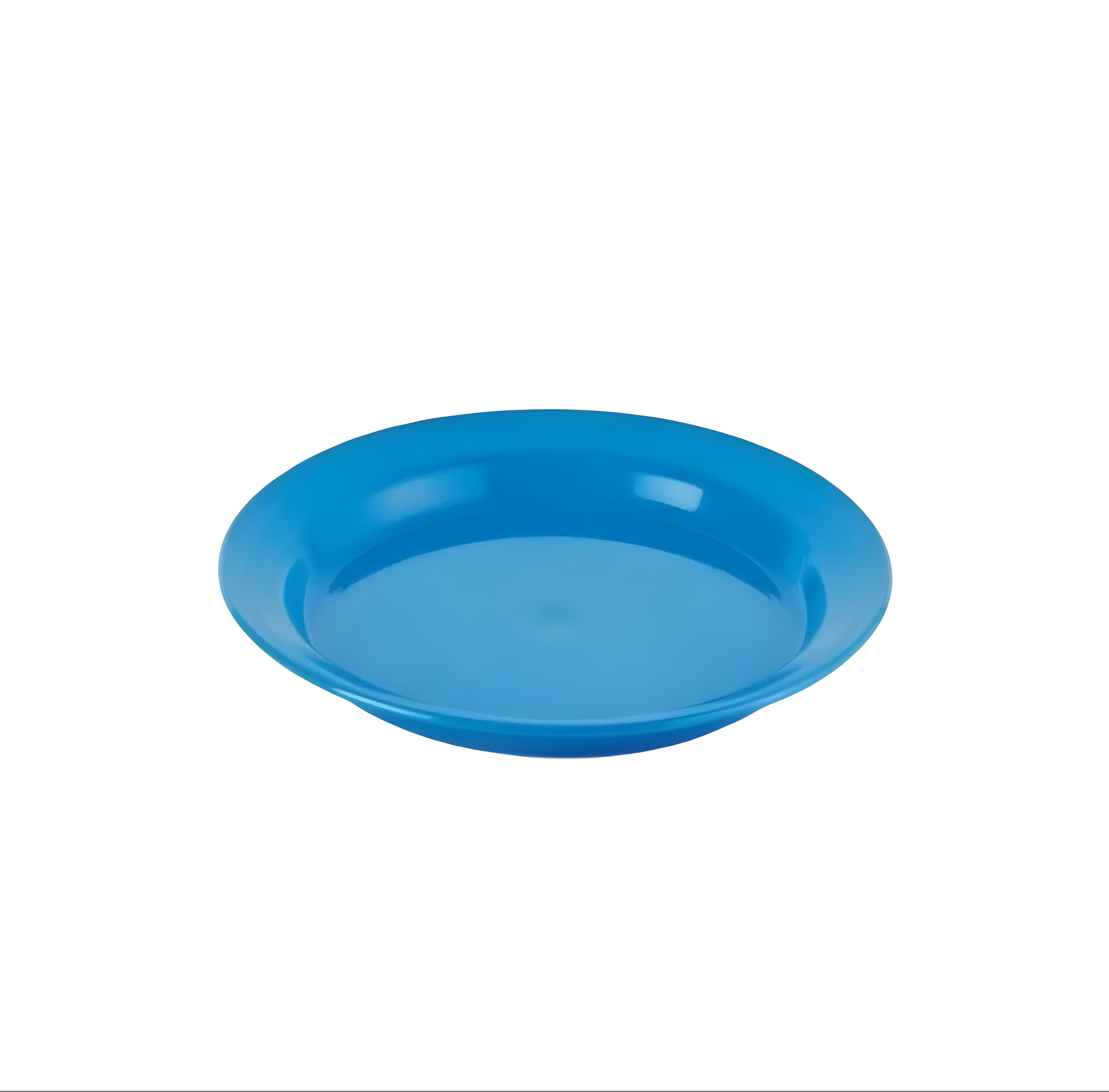 PLASTIC PLATE  (PLT018)