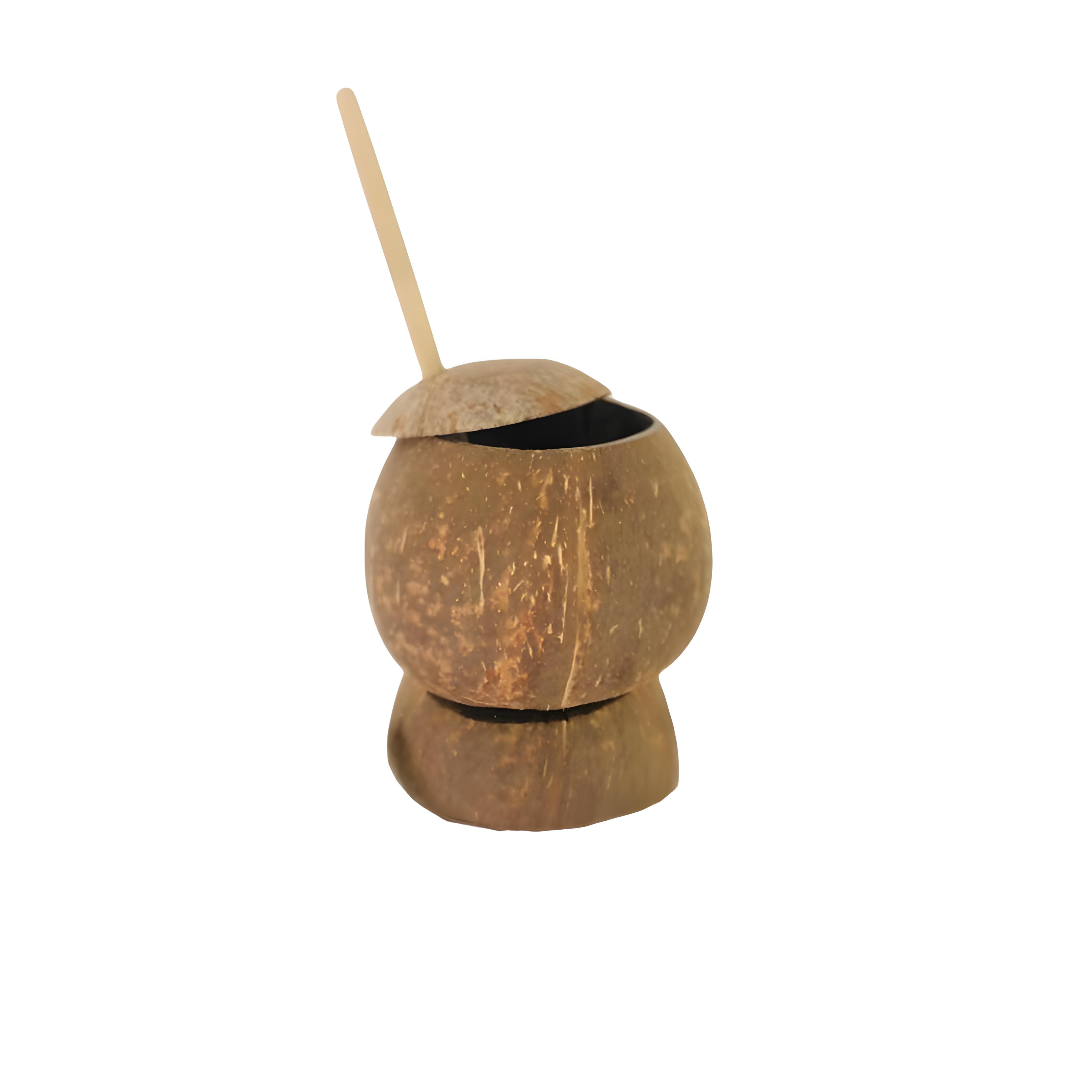 Coconut Shell Salt Pot With Spoon / "Lunu Pol Katta"