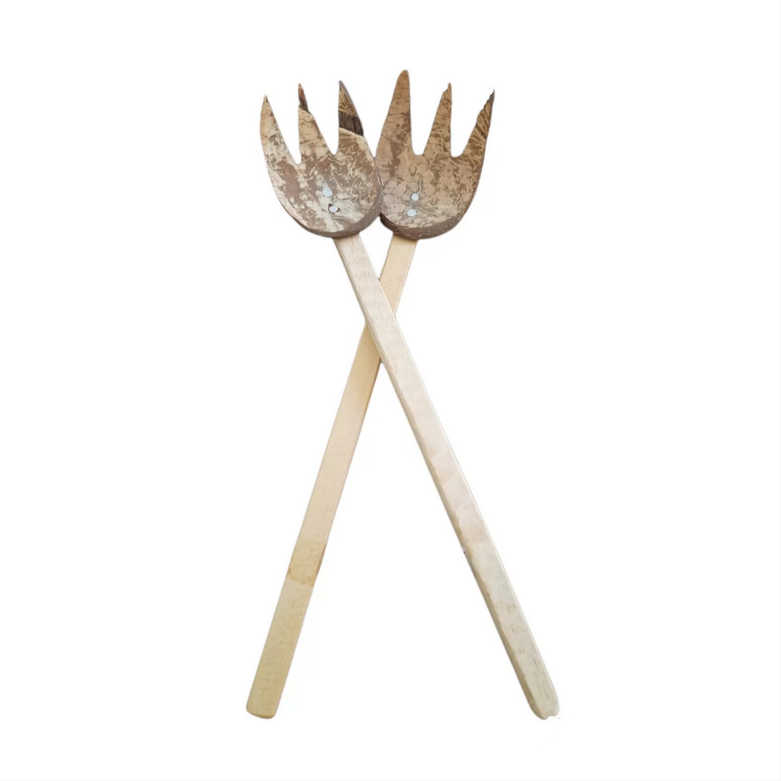 Coconut Scrape Noodle Spoon-E&C Agro  (MUN-1144280)