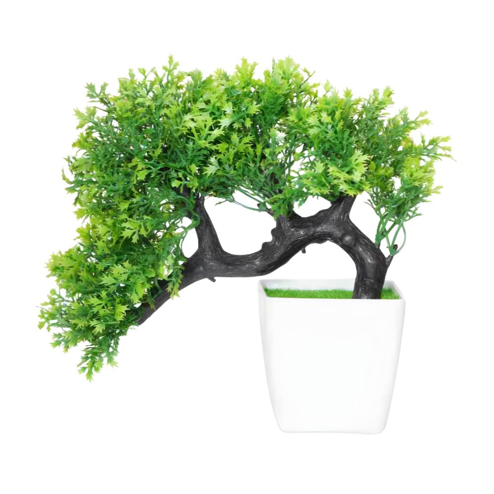 Bonsai Tree