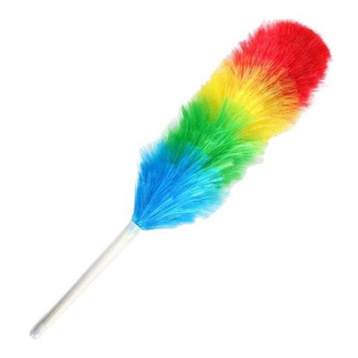 Rainbow Feather Duster(MUN-1119515)