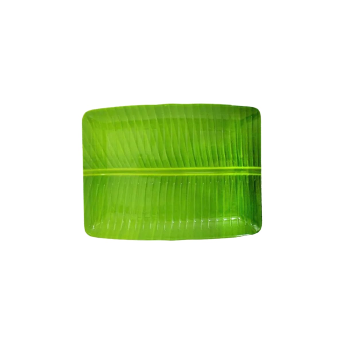 Square Green Banana Leaf Plate (MUN-1112249)