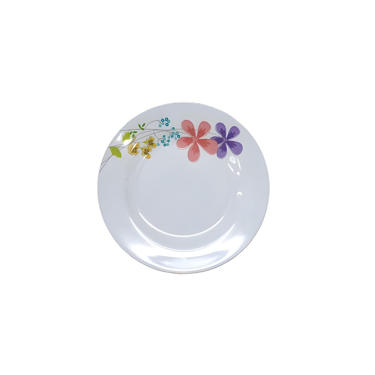 Dinner Plates with Printed Design (MUN-1112372)