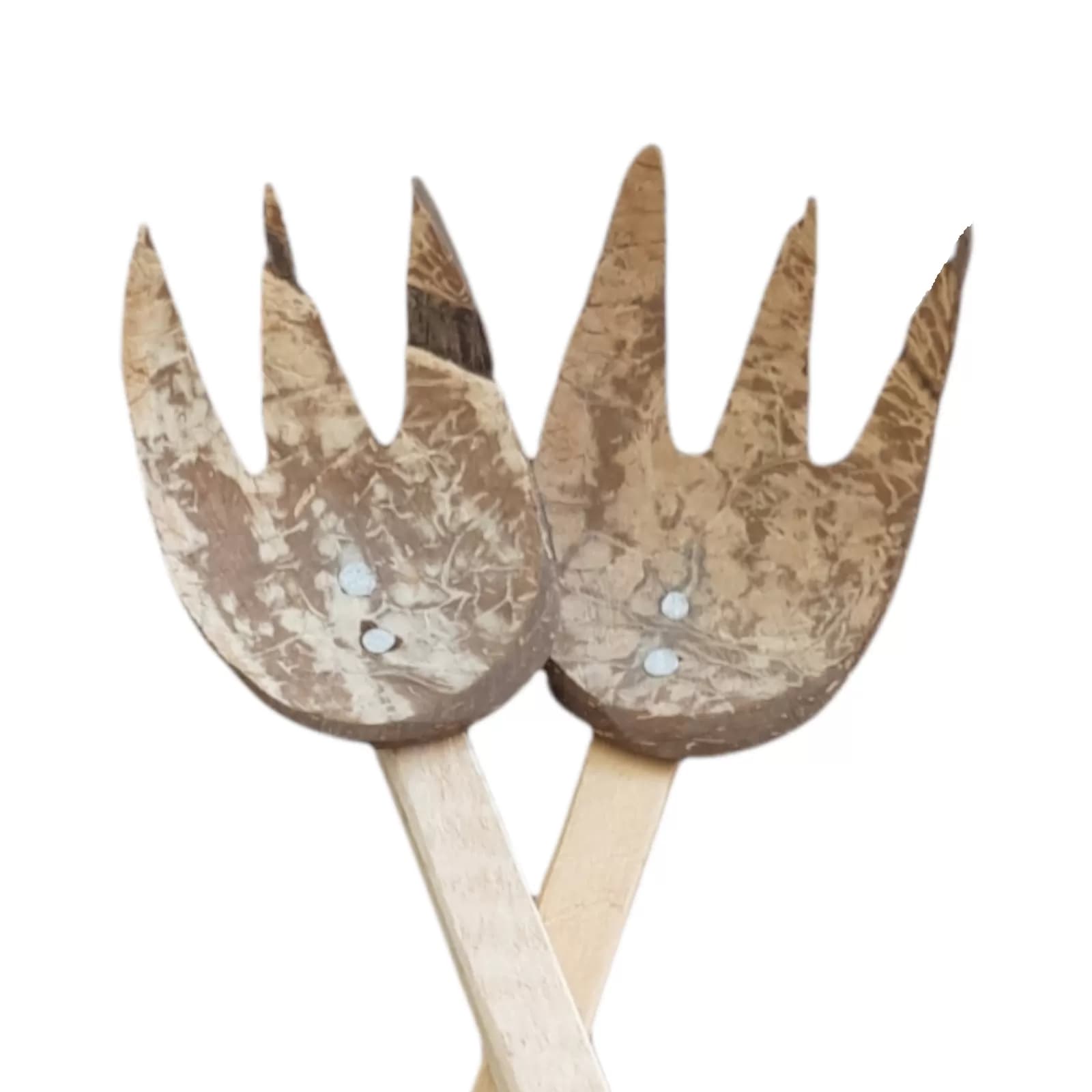 Coconut Scrape Noodle Spoon-E&C Agro  (MUN-1144280)