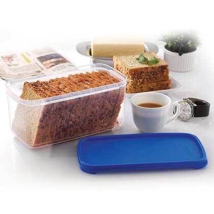  Plastic Container with Lid, Transparent Bottom Rectangular (MUN-1121683)