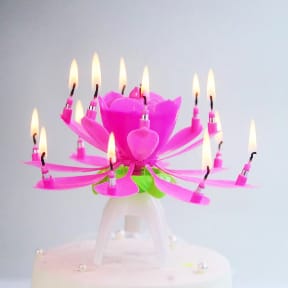 FLOWER CANDLE MUSIC 