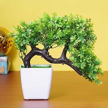 Bonsai Tree