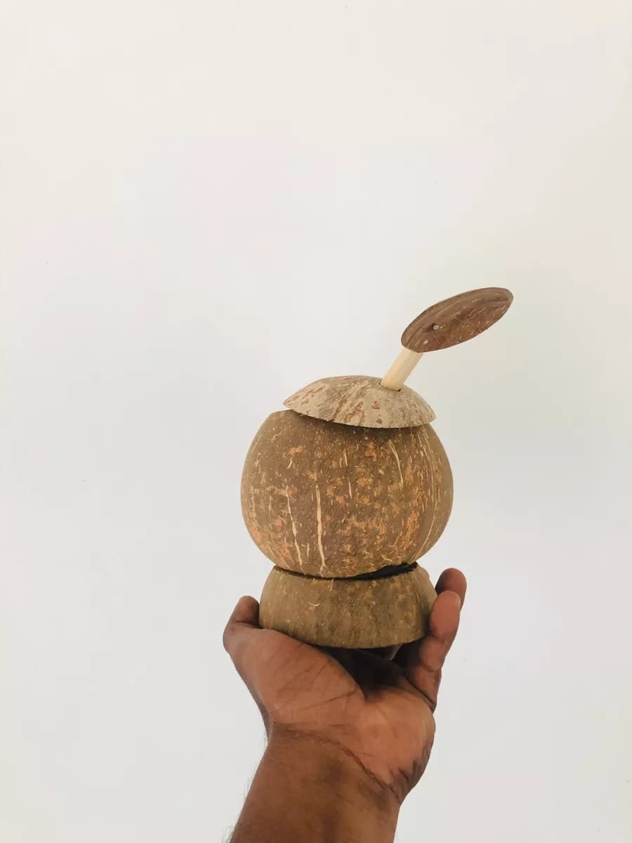 Coconut Shell Salt Pot With Spoon / "Lunu Pol Katta"