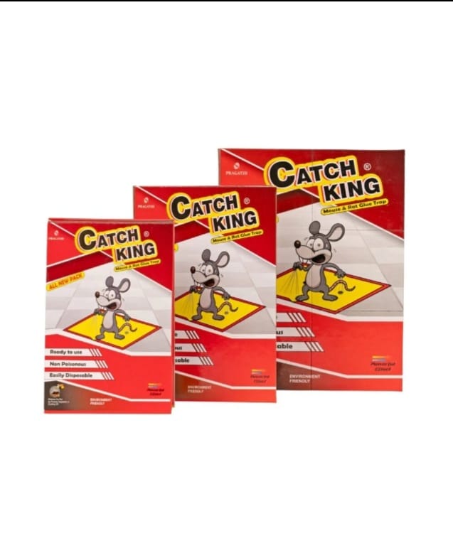Pragathi International Catch King Ultra Rat Glue??Traps (OTH519)
