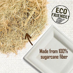 6 Inch Bagasse Plate(CRI001)