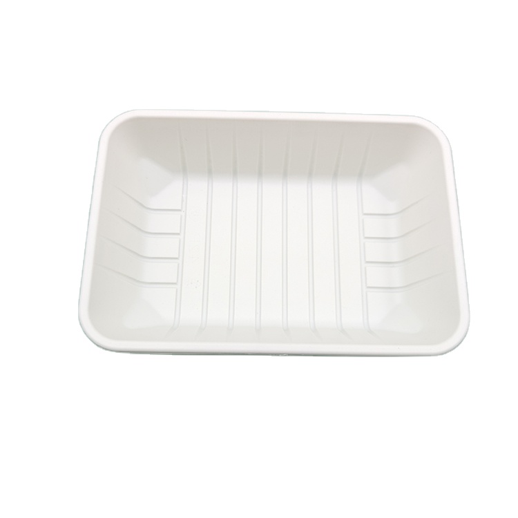 (9X6) Inch Bagasse Tray(CRI002)