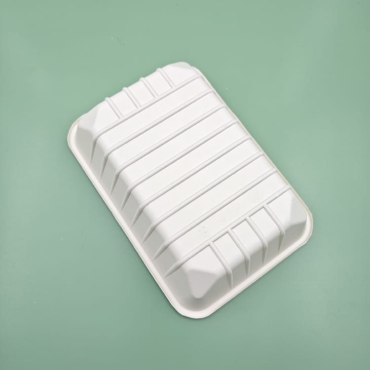 (9X6) Inch Bagasse Tray(CRI002)