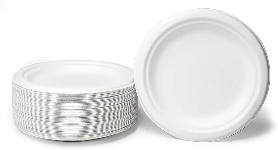10 Inch Bagasse Plate(CRI003)