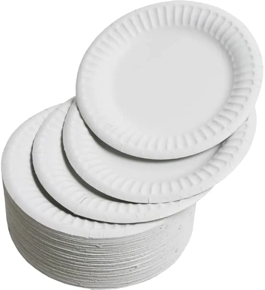 7Inch Paper Plates (Pack of 25 Pcs)(CRI005)