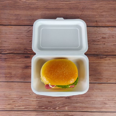 7X5 Bagasse Hinged Container-White(CRI0020)