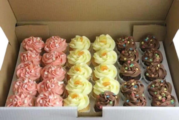 Cup Cake Box (30 Holes)(SP-0042)